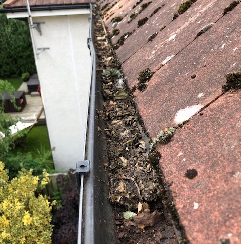cleared gutter before example 1