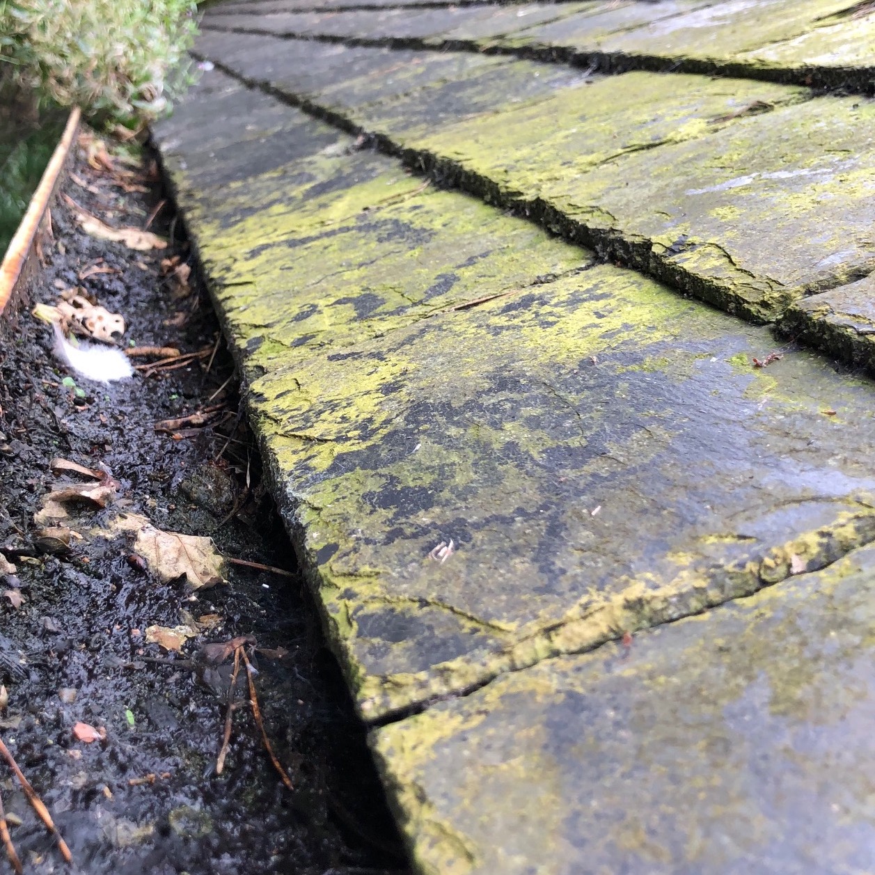 cleared gutter before example 2