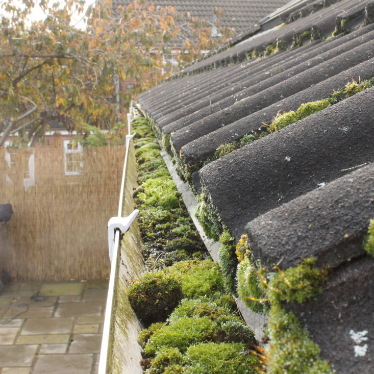 cleared gutter before example 3